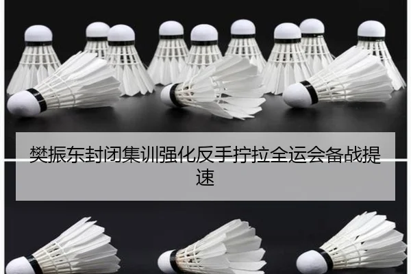 樊振东封闭集训强化反手拧拉全运会备战提速